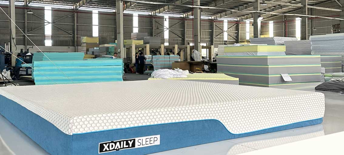 Nệm foam xdaily