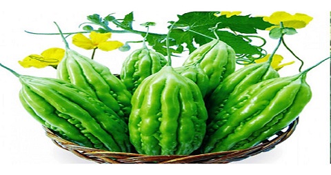 ĂN KHỔ QUA - CÓ LỢI HAY CÓ HẠI?