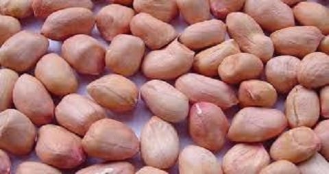 Đậu phộng được gọi là 'thần dược' nhưng 3 người này cần tránh