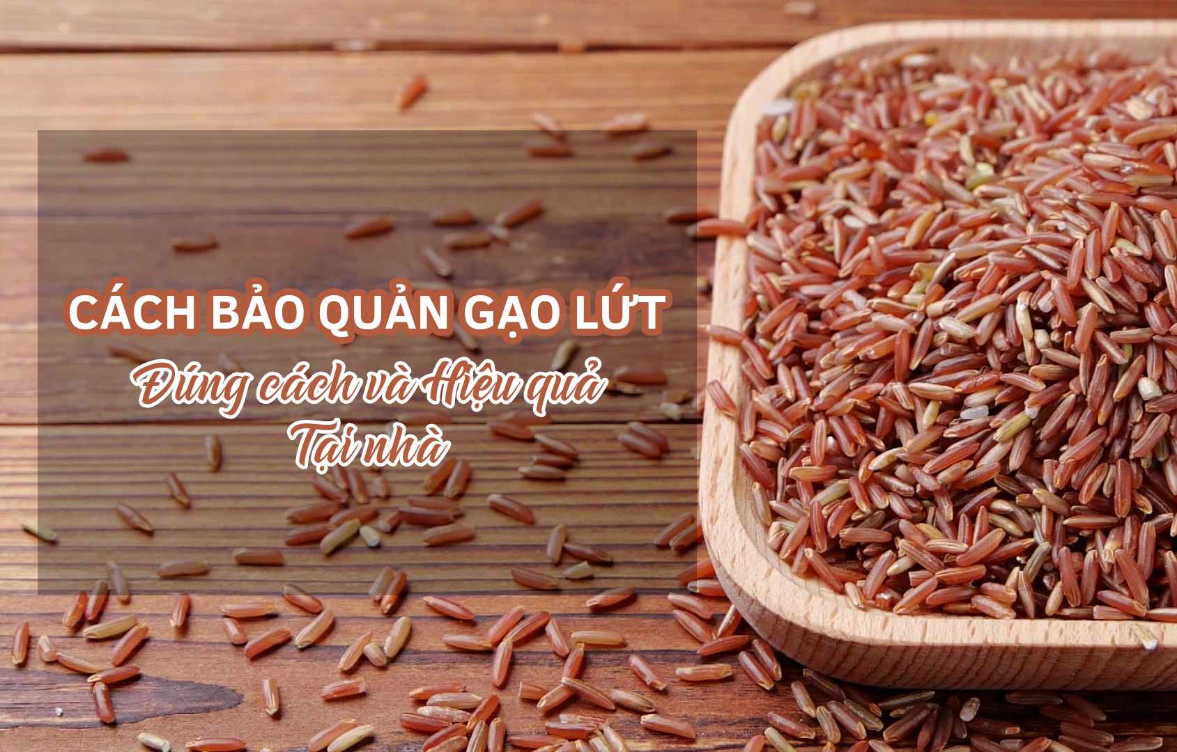 Cách bảo quản gạo lứt đúng cách và hiệu quả tại nhà