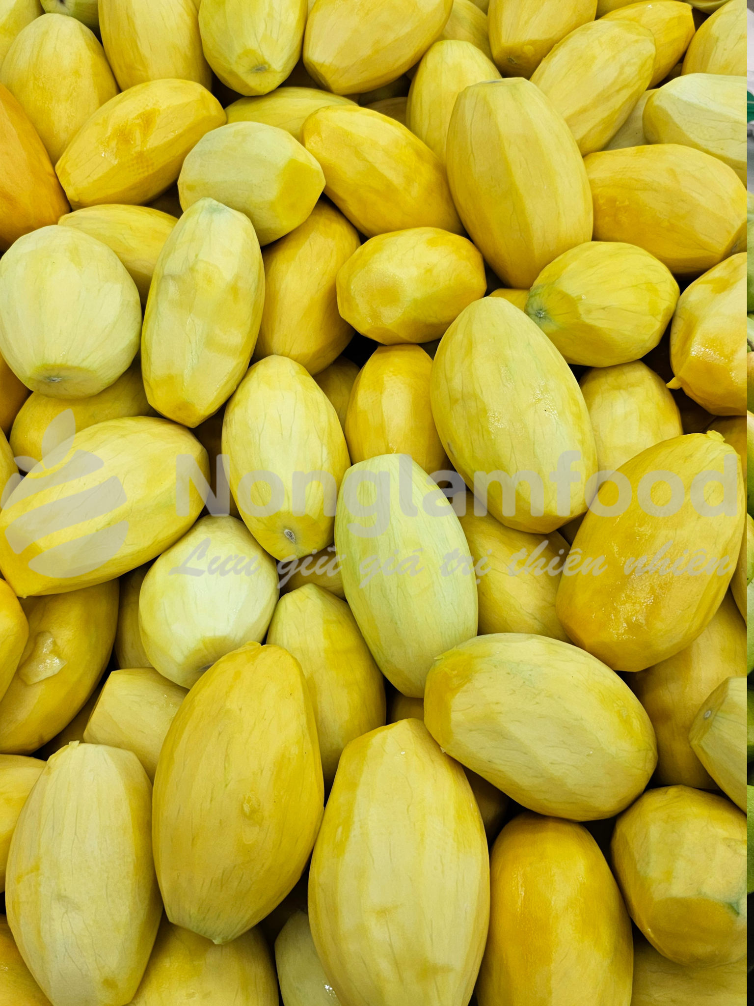 🌿 Gia công hàng xá trái cây sấy – Nonglamfood đồng hành cùng thương hiệu của bạn