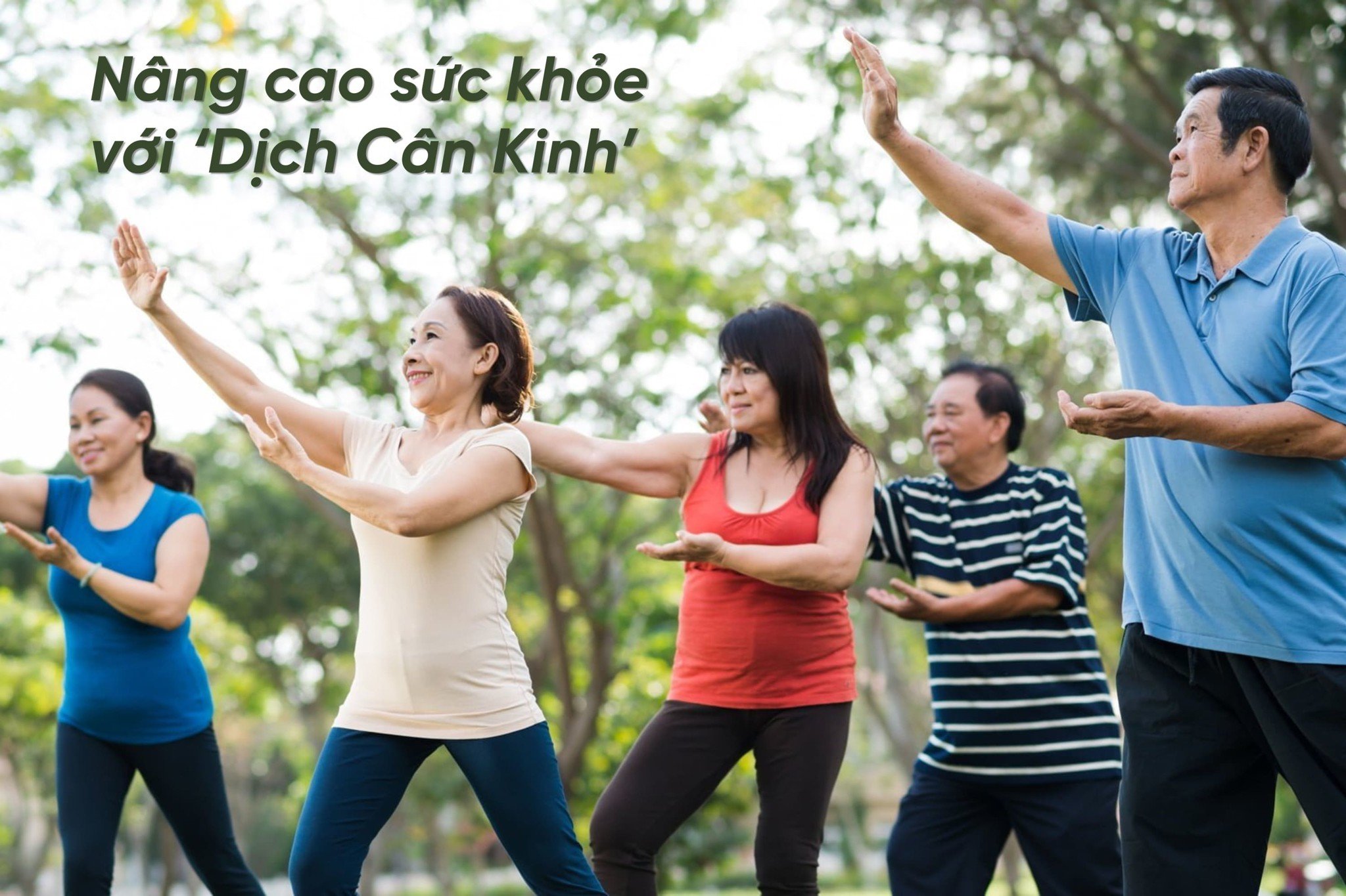 12 Bài Tập Dịch Cân Kinh Cơ Bản Điều Hòa Hơi Thở Nâng Cao Sức Khỏe Để Sống Thọ