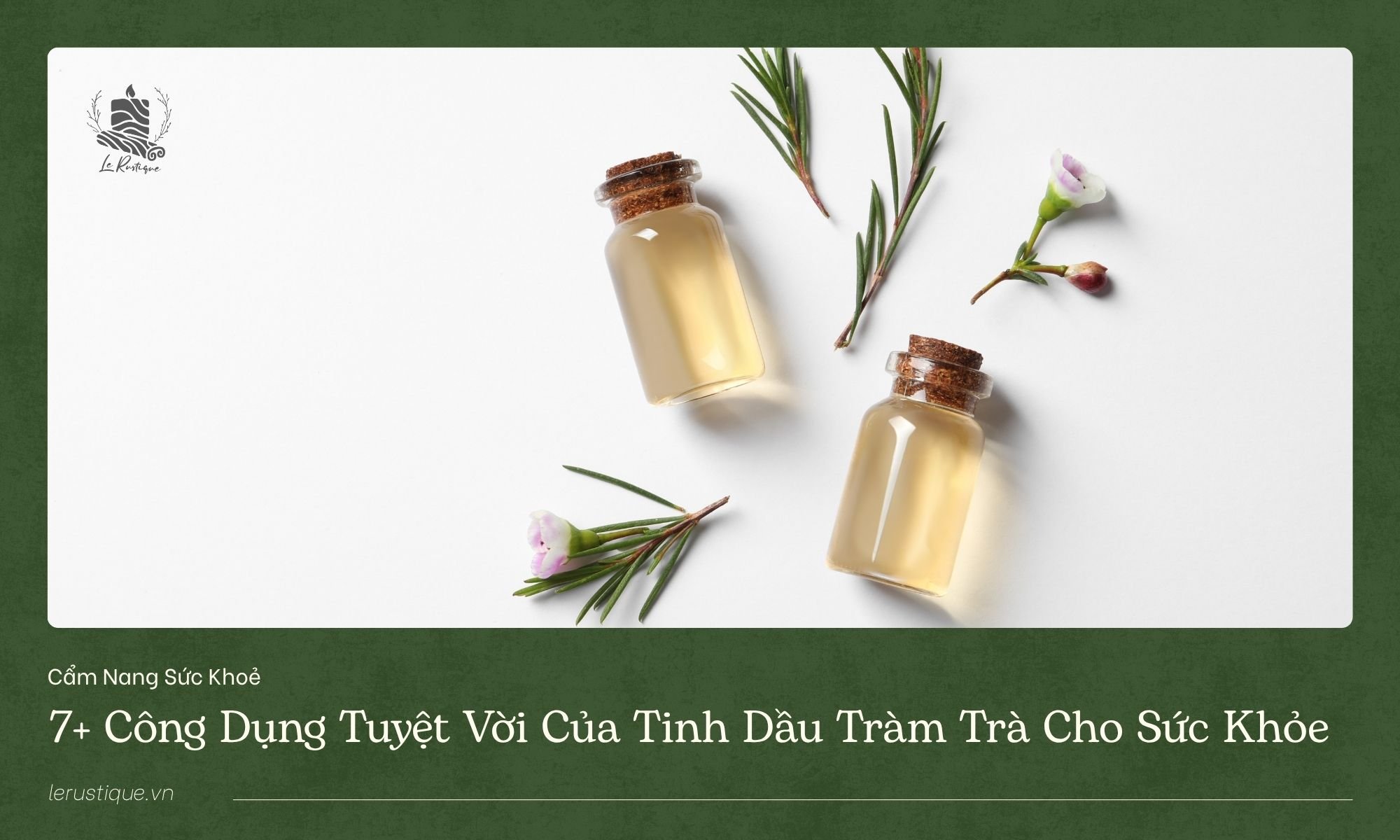7+ công dụng tuyệt vời của tinh dầu tràm trà cho sức khỏe
