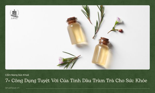 7+ công dụng tuyệt vời của tinh dầu tràm trà cho sức khỏe