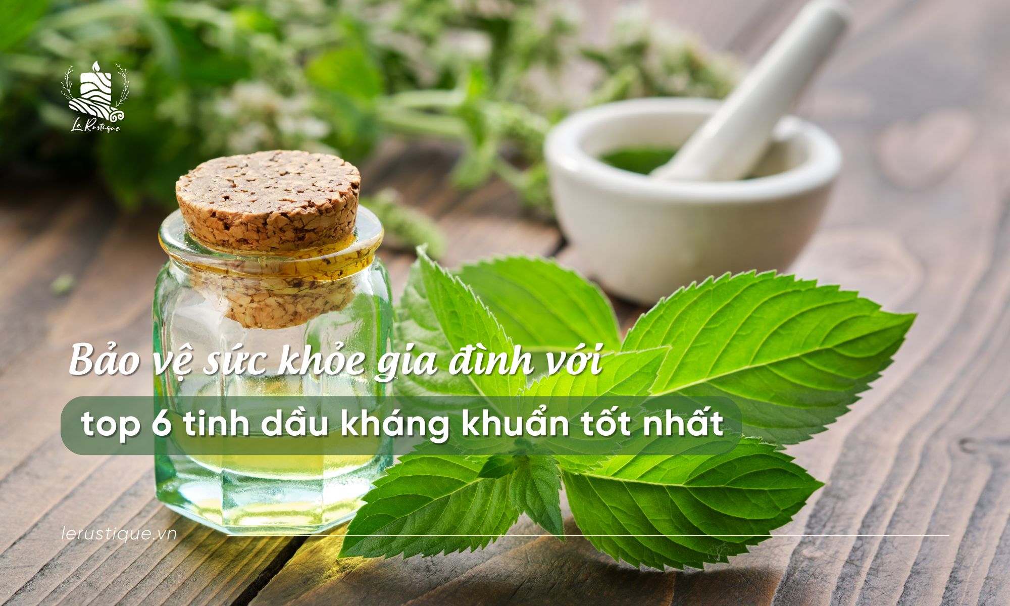 Bảo vệ sức khỏe gia đình với top 6 tinh dầu kháng khuẩn tốt nhất