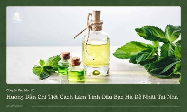 Hướng dẫn chi tiết cách làm tinh dầu bạc hà dễ nhất tại nhà