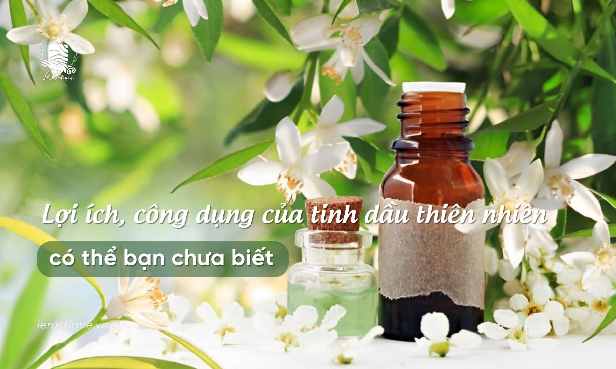 Lợi ích, công dụng của tinh dầu thiên nhiên có thể bạn chưa biết