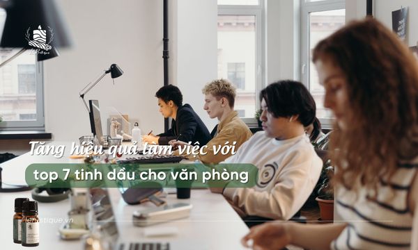 Tăng hiệu quả làm việc với top 7 tinh dầu cho văn phòng