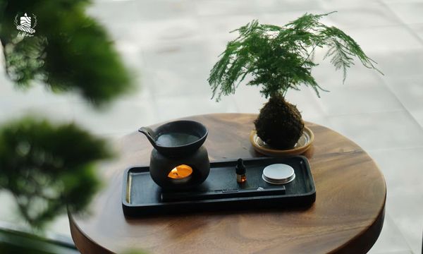 Thiền Hương – Khi Hương Thơm Trở Thành Nghi Thức An Yên