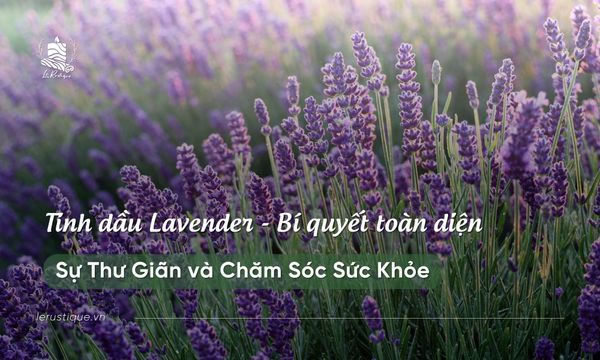 Tinh Dầu Lavender: Bí Quyết Toàn Diện Cho Sự Thư Giãn và Chăm Sóc Sức Khỏe