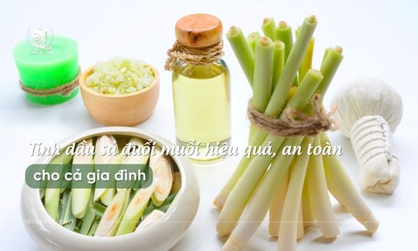 Tinh dầu sả đuổi muỗi hiệu quả, an toàn cho cả gia đình