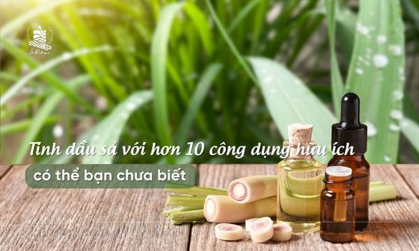 Tinh dầu sả với hơn 10 công dụng hữu ích có thể bạn chưa biết