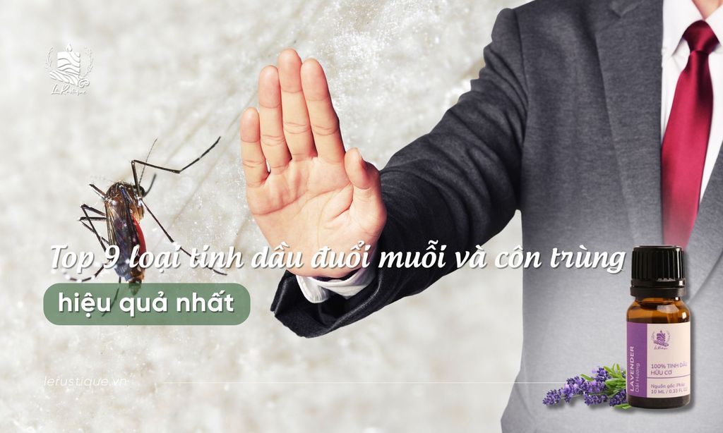 Top 9 loại tinh dầu đuổi muỗi và côn trùng hiệu quả nhất