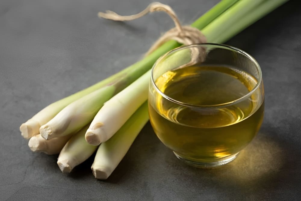 Cách làm tinh dầu sả đơn giản tại nhà