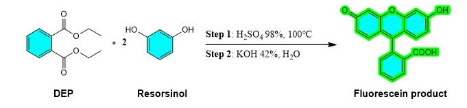 Cấu tạo Diethyl Phthalate