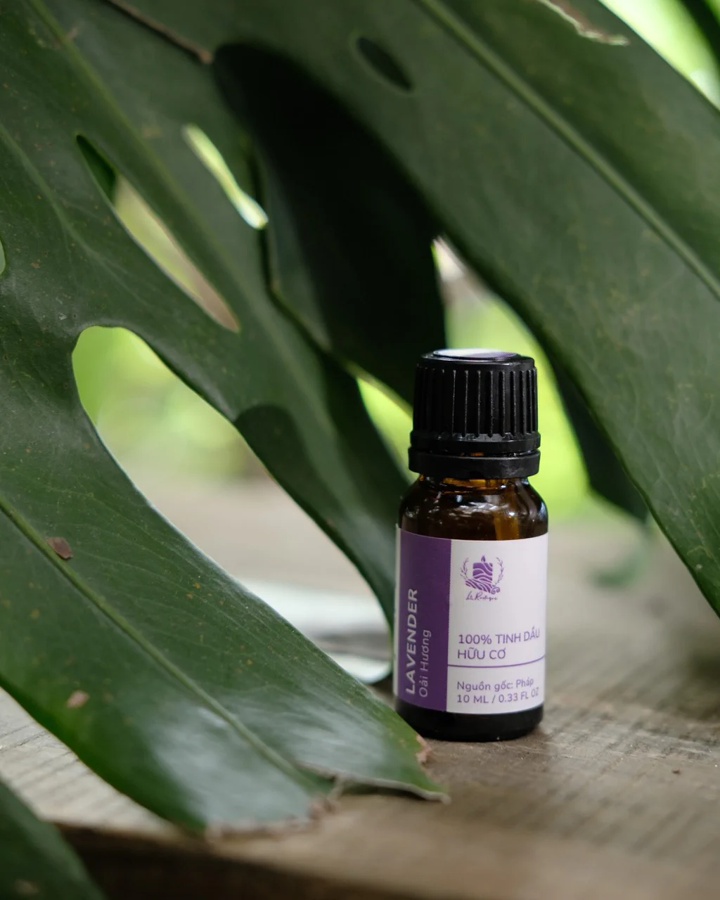 Tinh dầu Oải Hương