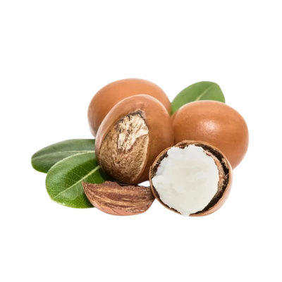 Bơ hạt mỡ