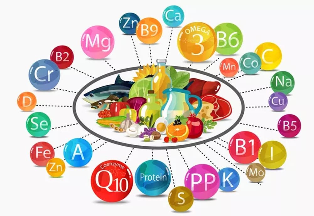 Cung cấp đa dạng vitamin và khoáng chất