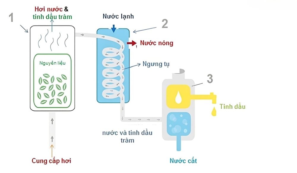 phương pháp chưng cất hơi nước