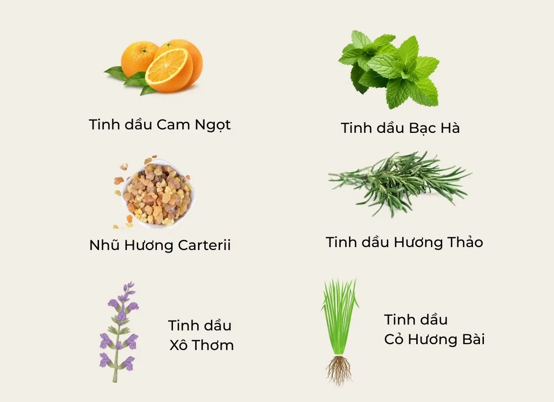 Các note tinh dầu