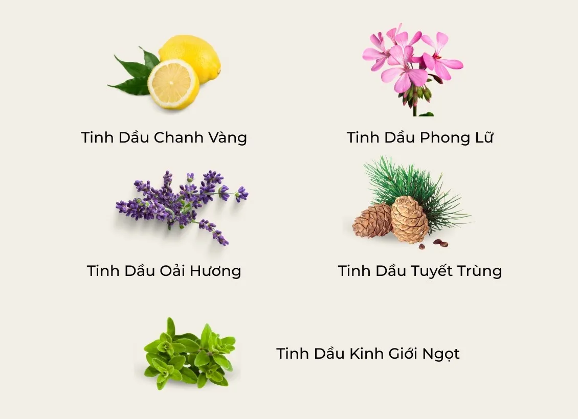 Các note tinh dầu