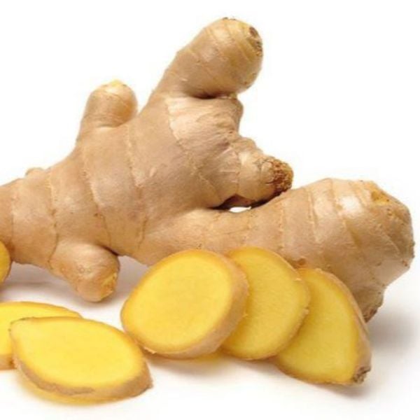 Gừng