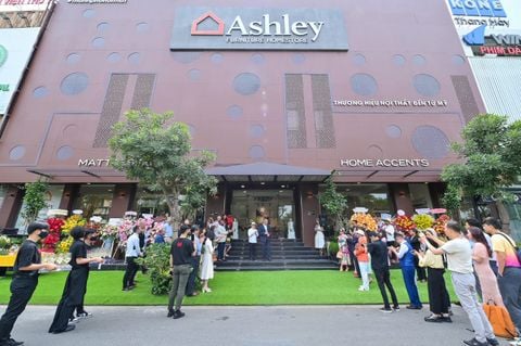 Showroom Ashley 7.0