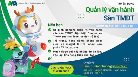 Vị trí: Nhân viên Vận hành Thương mại điện tử