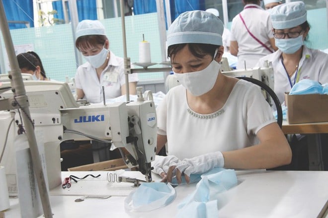 nhân viên HSV group