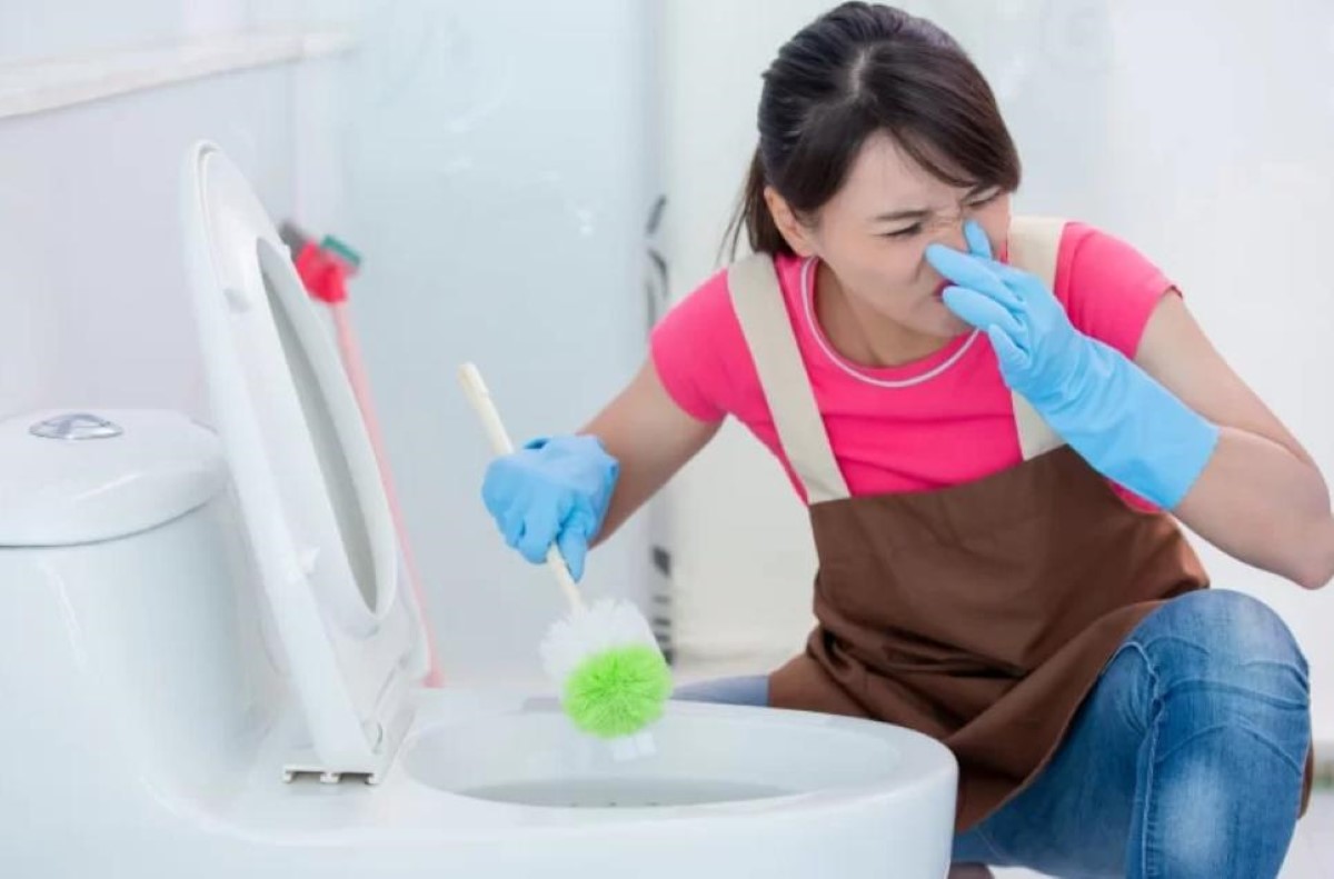 Top 15 cách xử lý bồn cầu có mùi hôi hiệu quả nhất