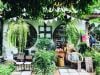 10 thiết kế quán cafe sân vườn đẹp dự đoán HOT Trend 2024