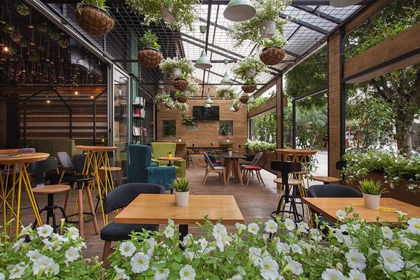 Thiết kế quán cafe sân vườn