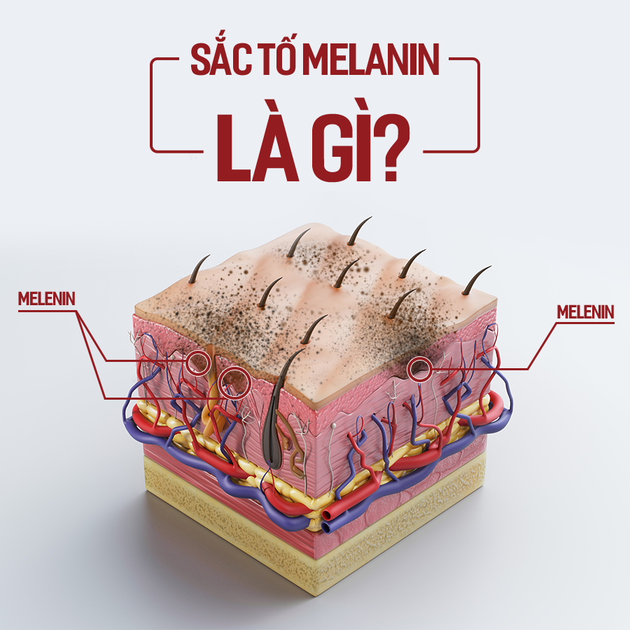 sắc tố melanin