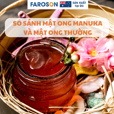 So sánh mật ong Manuka và mật ong thường: 3 Sự khác biệt về giá trị và công dụng