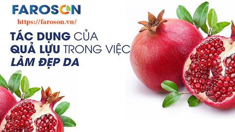 5 Tác Dụng Của Quả Lựu Với Làn Da Làm Đẹp Hiệu Quả