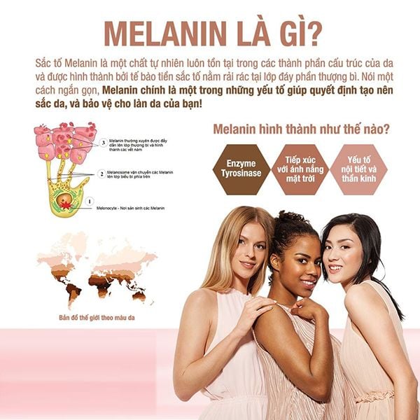 sắc tố melanin là gì