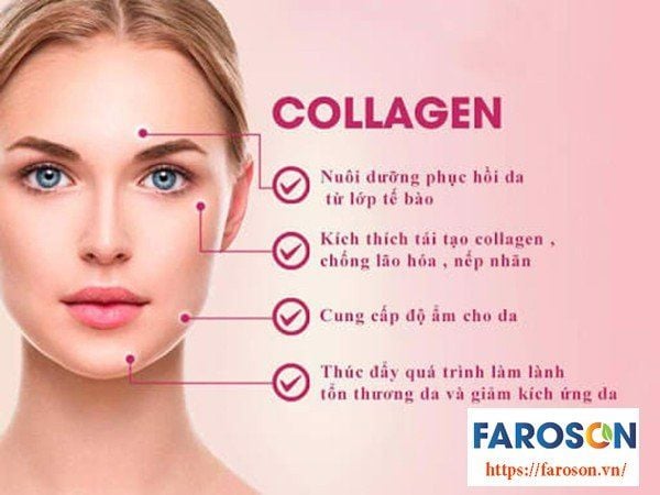 Collagen trong Bộ đôi chống nắng dương xỉ và lựu đỏ