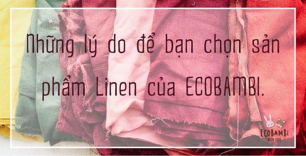 BẠN CÓ BIẾT? - Sản phẩm ECOBAMBI có gì nổi bật ?