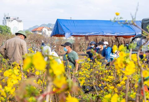Người dân Cẩm Phả háo hức đi chợ hoa Xuân Nhâm Dần 2022