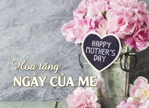 Ngày của mẹ nên tặng hoa gì? Và ý nghĩa các loại hoa