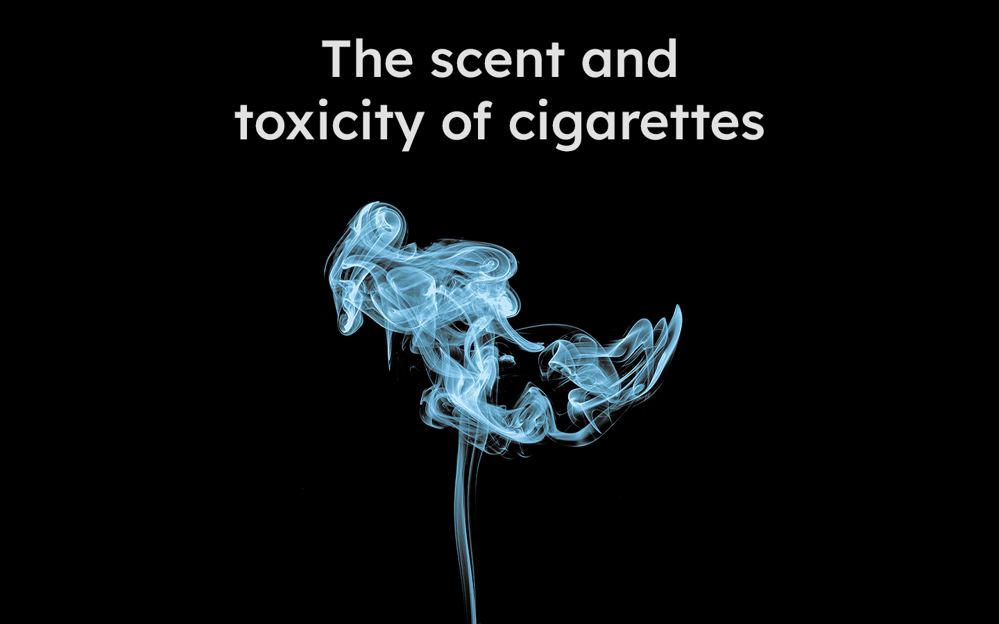 Mùi hương và tính độc hại của thuốc lá điếu