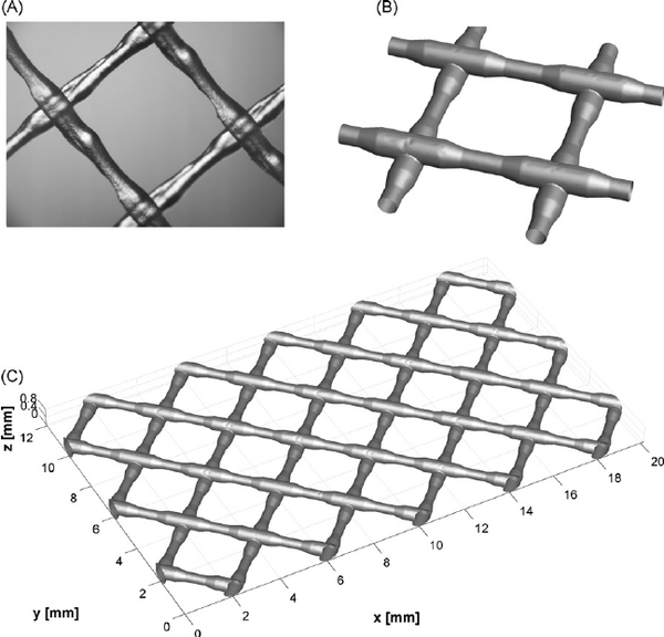 eometry-from-practice-a-and-model-b-with-the-same-geometry-feed-spacer_856e8af2cd2b47d9a6fedfc80c7e9772_grande.png