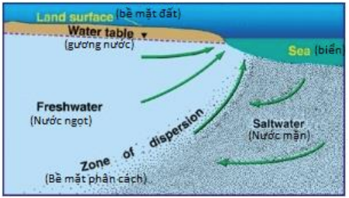 Giải pháp xử lý nước nhiễm mặn cho Đồng Bằng Sông Cửu Long