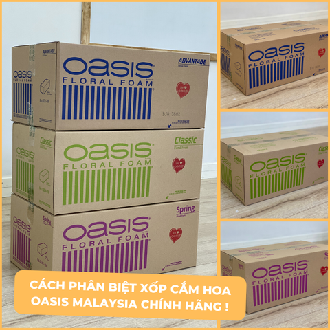 Cách phân biệt Xốp cắm hoa Oasis Chính hãng Chất lượng Made in Malaysia