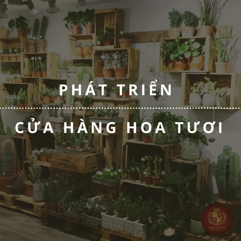 Ý TƯỞNG PHÁT TRIỂN CỬA HÀNG HOA TƯƠI CỦA BẠN
