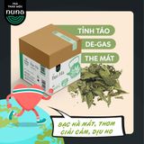 Trà bạc hà  sấy lạnh Cornmint Tea,  thuận mùa vụ 2024