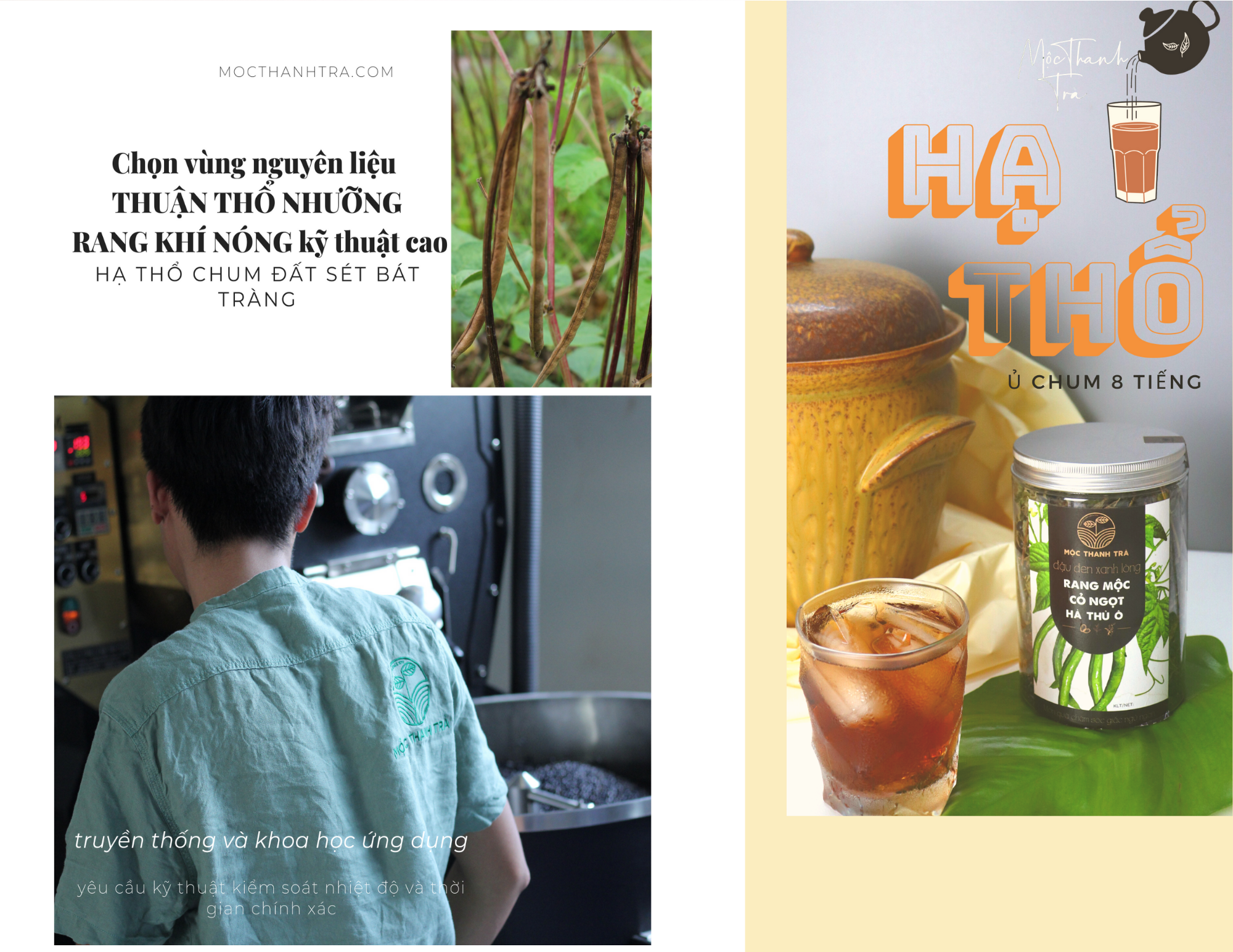 Tại sao Đậu đen xanh lòng rang mà không phải các hạt đậu khác, rang uống hằng ngày thì ngủ ngon và giải nóng trong?