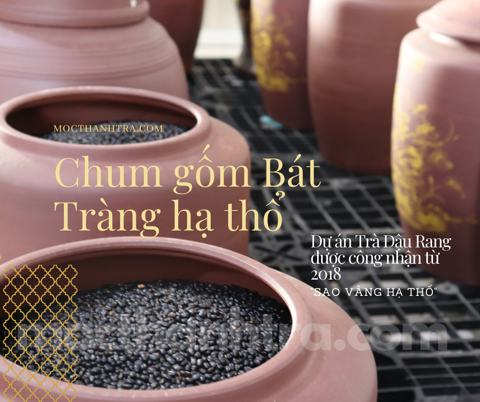 Đối Tác Hợp Tác SẢN XUẤT TRÀ HẠT tại Việt Nam