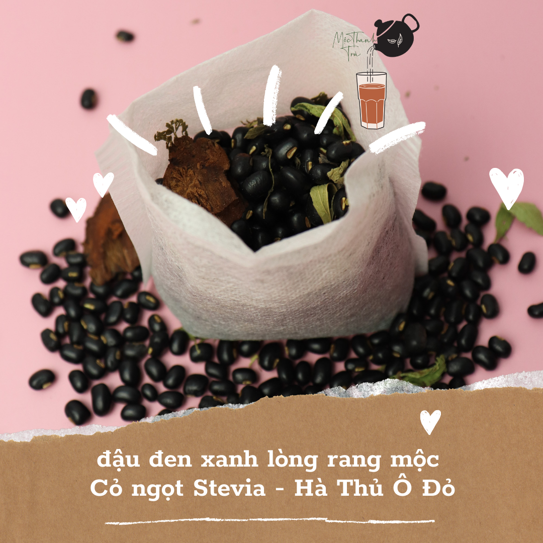 TÚI LỌC - GIA ĐÌNH VÀ VĂN PHÒNG