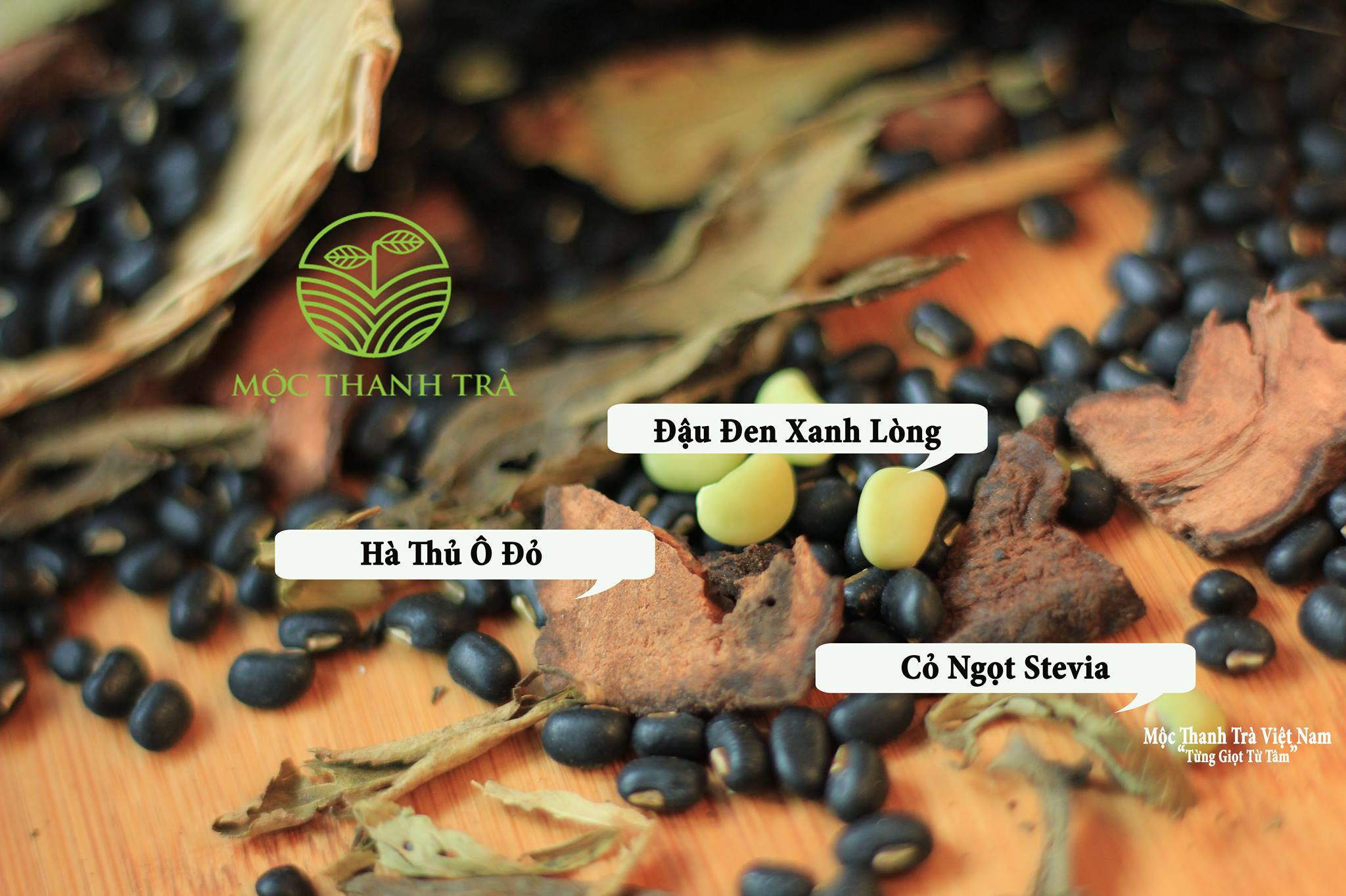 Rang Mộc-Cỏ Ngọt -Hà Thủ Ô